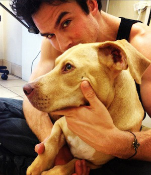 Ian Somerhalder Ian Somerhalder
